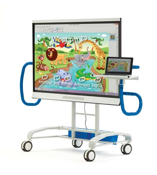Flat Panel Carts