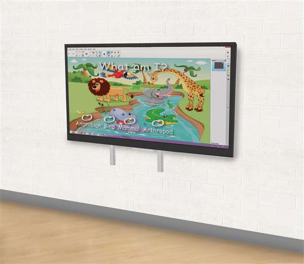 Flat Panel Mounts