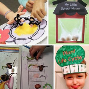 22 Free plant life cycle activities