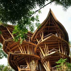 Watch this Ted Talk and see some amazing structures built from bamboo