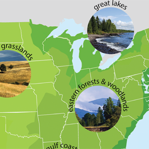 This Wildlife & Wildlands toolkit is aimed at the middle school grade level