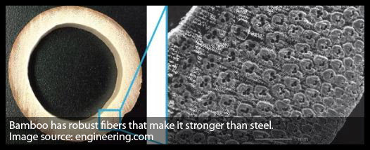 Bamboo Fibers
