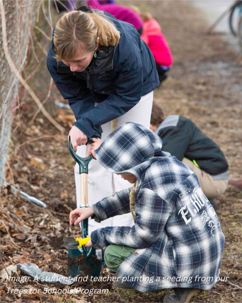 Tree planting