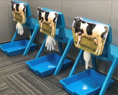 Milking stations in classroom