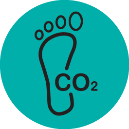 Our Carbon Footprint