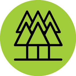 Trees for Schools