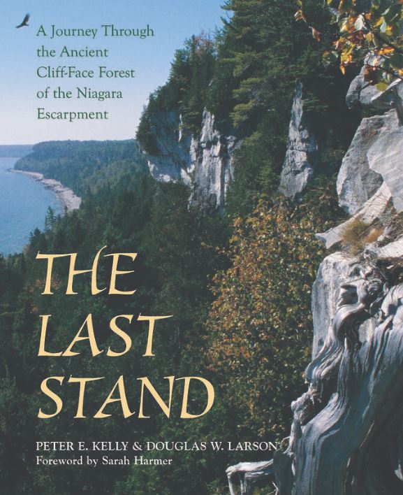 The Last Stand