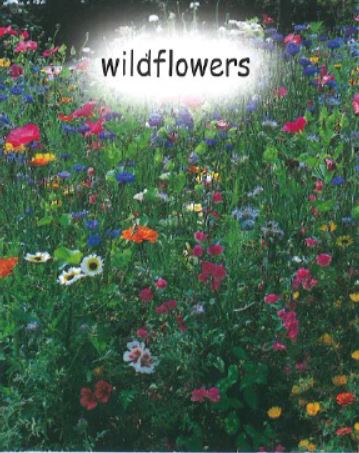 OSC Wildflower seed package